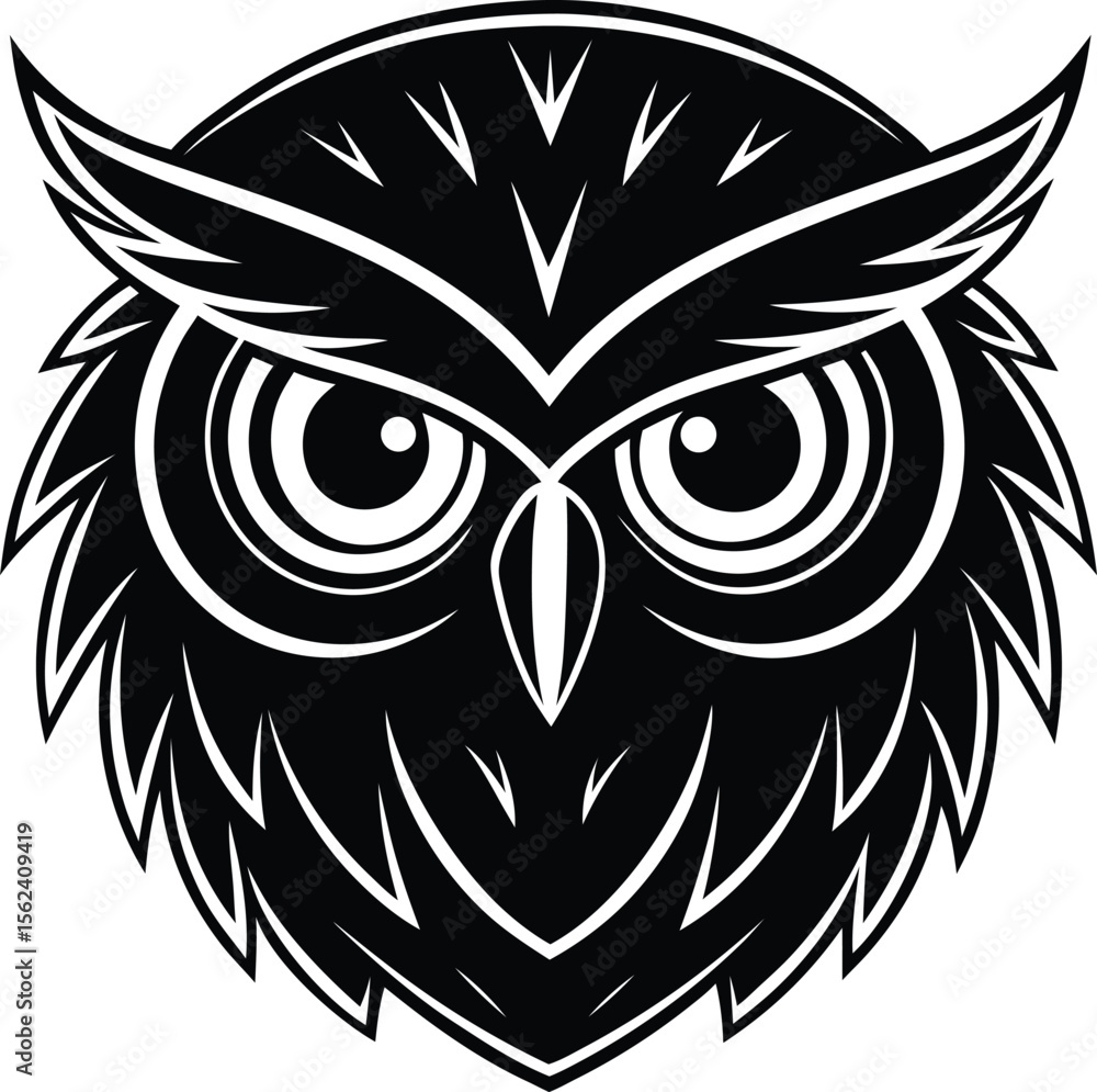 Obraz premium owl on a white background