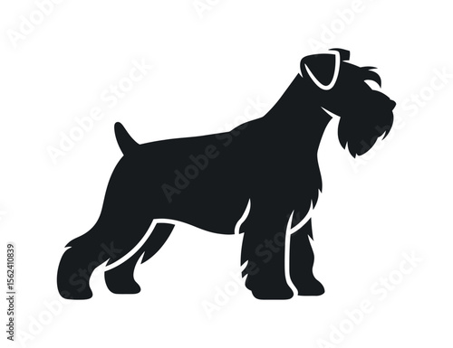 Silhouette of a Miniature Schnauzer Dog