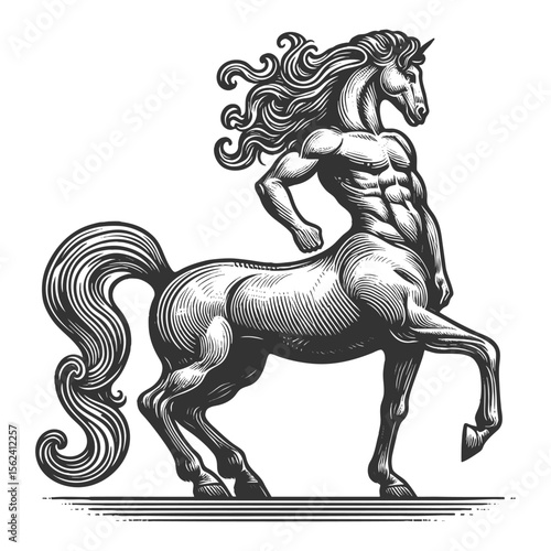 muscular human torso and majestic horse body sketch engraving generative ai fictional character vector illustration. Scratch board imitation. Black and white image.