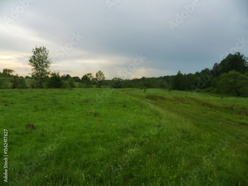 Beautiful evening meadow landscape