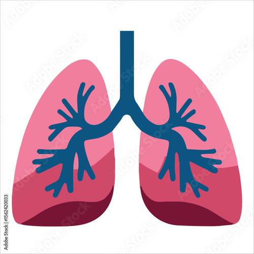 Lungs art vector illustration icon on white background. Human respiratory system graphic ideal for health education and medical materials.