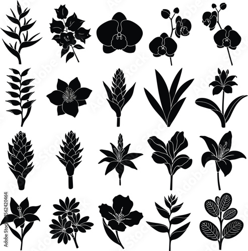Collection of black silhouette floral and plant elements on white background flower