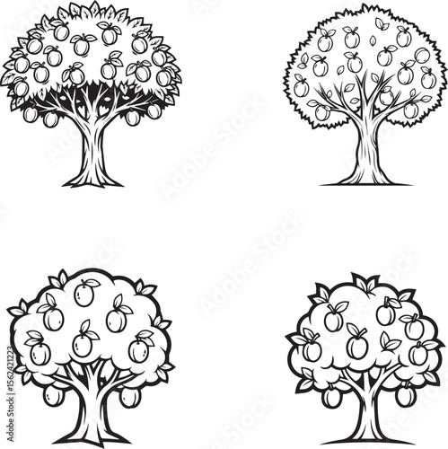 vector illustration of plum tree