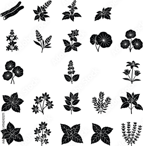 Collection of black silhouette icons of medicinal herbs and plants with labels licorice root