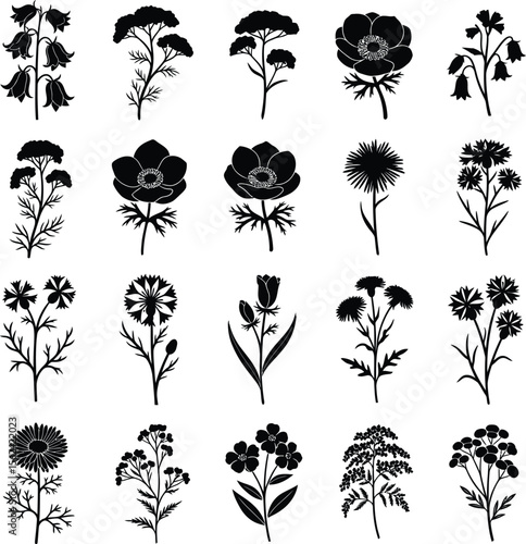 Collection of black silhouette wildflowers and plants on white background floral botanical