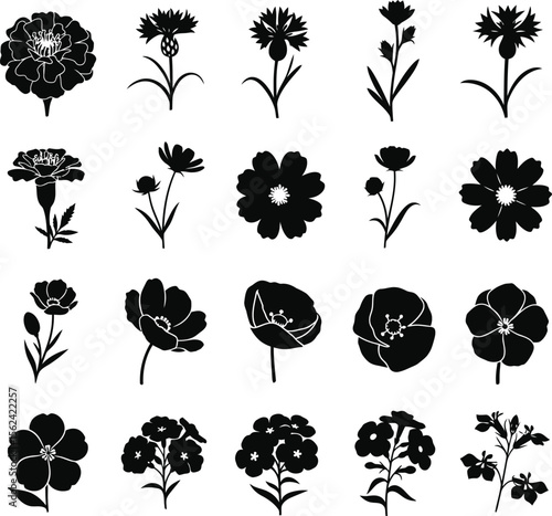 Collection of black flower silhouettes including marigolds cornflowers poppies and cosmos