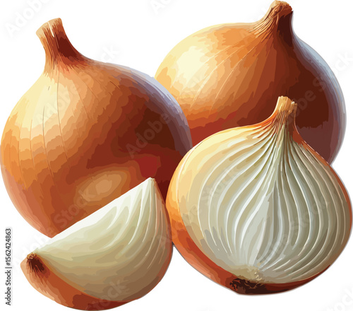 Fresh ripe brown onions with a cut showing the internal layers for culinary purposes