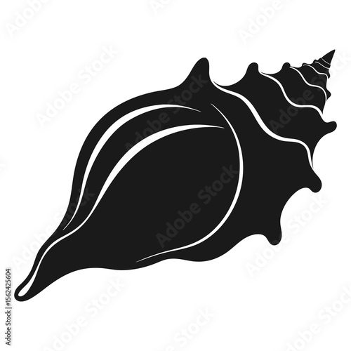 Vector illustration of conch shell