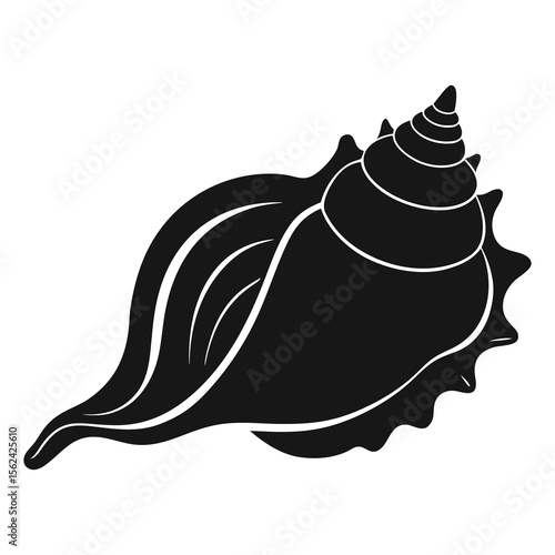 Vector illustration of conch shell