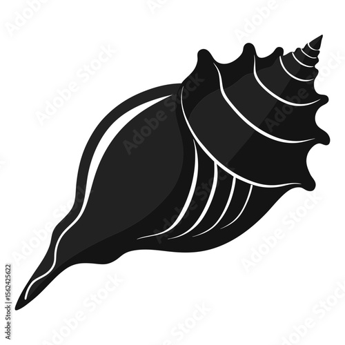 Vector illustration of conch shell