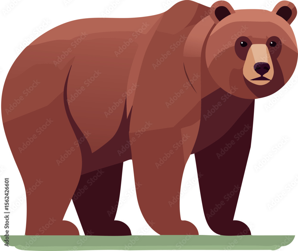 Obraz premium Brown bear standing on grass vector illustration in natural wildlife style 