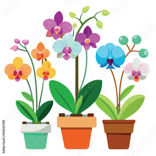 Orchids in Flowerpots Isolated on White Background – Elegant Botanical Plant Illustration for Interior Decor, Gardening, Nature Themes, or Floral Design Projects