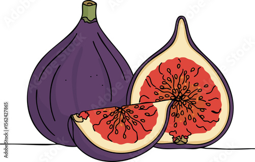 Purple figs whole and sliced fresh fruit illustration with seeds and stem vector 
