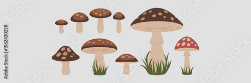 Vector mushroom icon sheet with edible and poisonous varieties – Ideal for food packaging, nature guides, or educational graphics