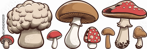 Cartoon mushroom icons in varied styles – Suitable for food packaging, foraging guides, or fantasy-themed content