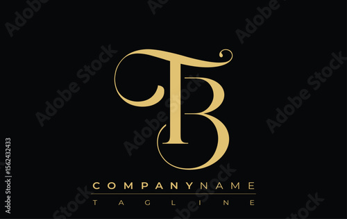 TB Abstract Creative Jewelry Logo. A stylish logo featuring golden monogram initials in an elegant and modern typography, perfect for branding
