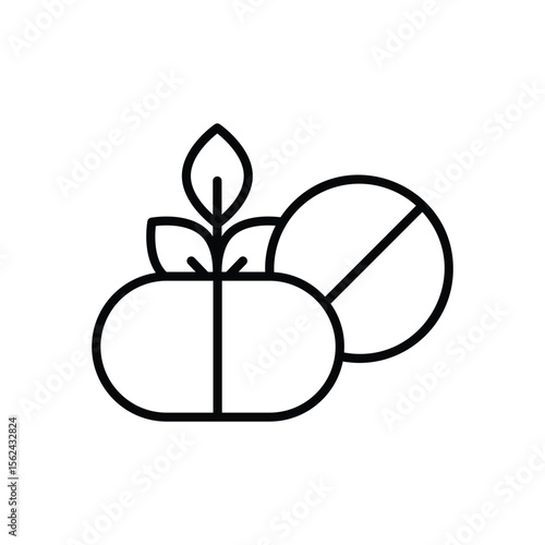 Herbal Pill icon vector