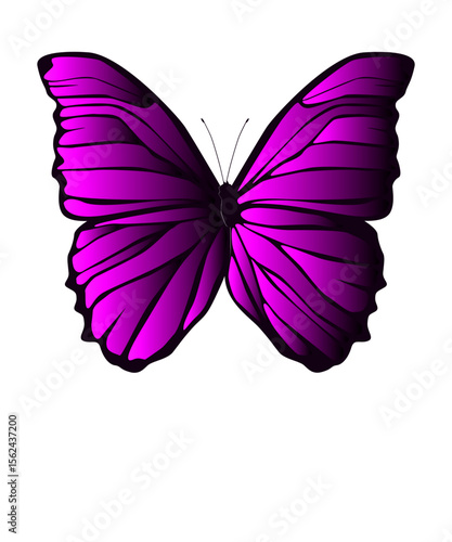 bunter Schmetterling, transparenter Hintergrund, Vektor