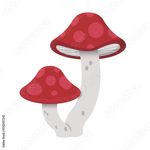 Mushrooms