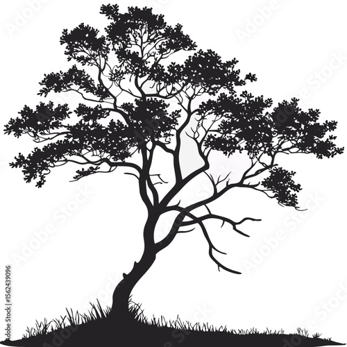 Wallpaper Mural vector tree silhouette of farkleberry Torontodigital.ca