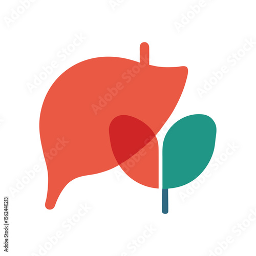 Liver