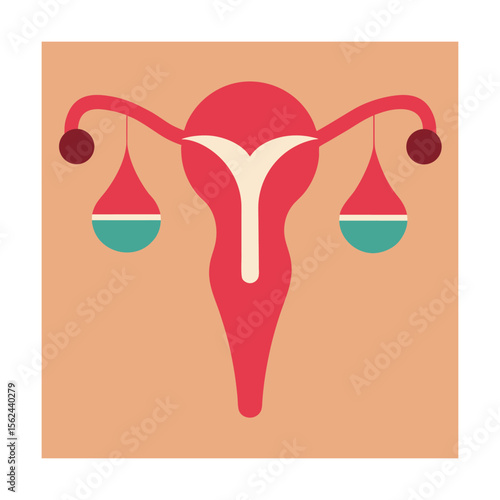 Uterus ovaries