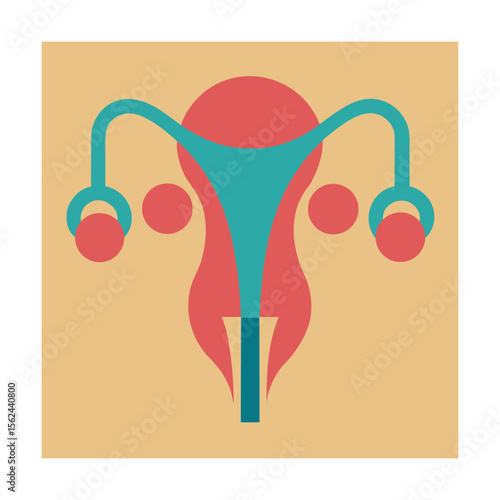 Uterus ovaries