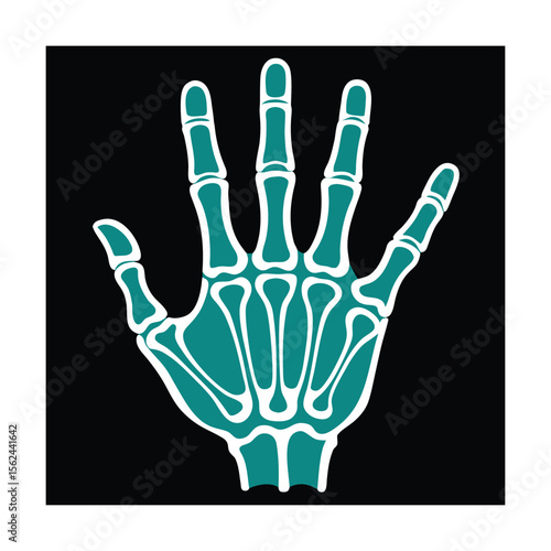 Teal hand bones