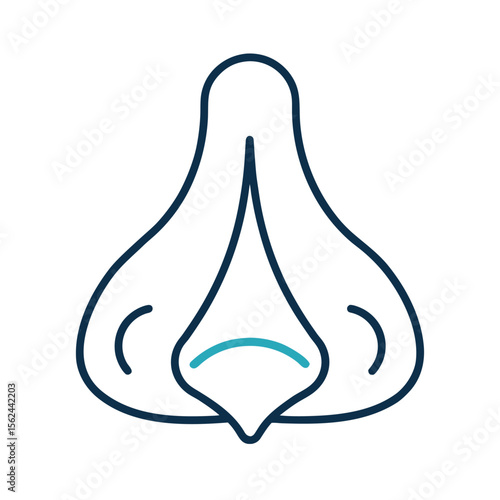 Nasal sinus outline