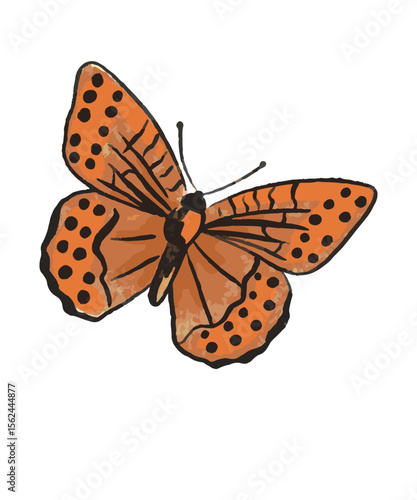 bunter Schmetterling, transparenter Hintergrund, Vektor