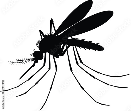 Silhouette of a mosquito with long legs and wings on a white background