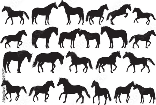 Set of Silhouette Vector Illustration of Horses Including Stallions Mares and Colts in Black and White Minimalist Style