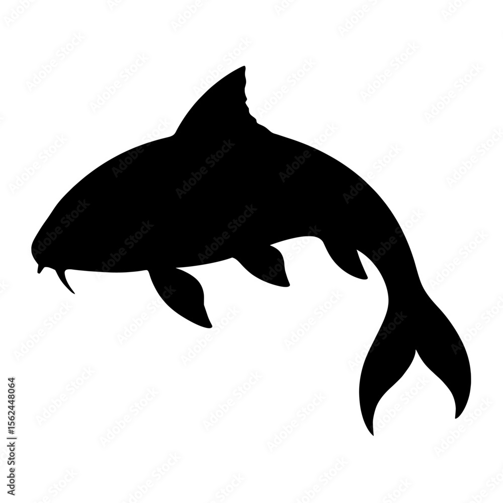 Fototapeta premium Elegant Koi Fish Silhouette with Graceful Curves