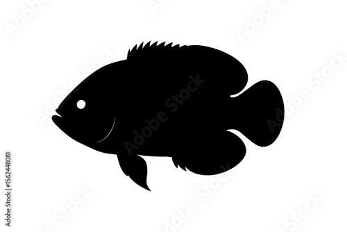 Vibrant Oscar Fish Silhouette with Elegant Curves and Playful Fins