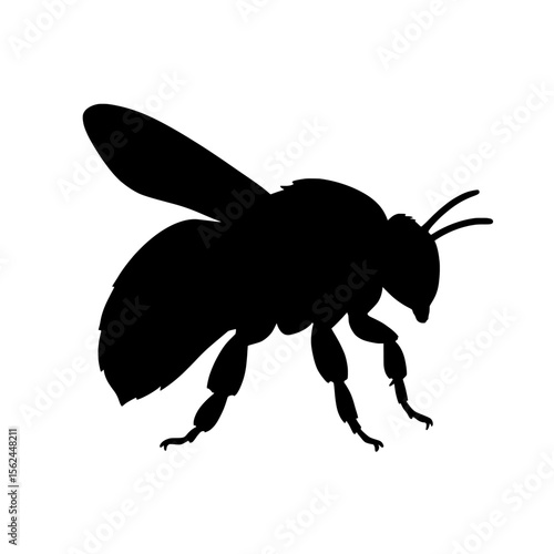 Mystical Gypsy Cuckoo Bumblebee Silhouette with Vibrant Colors