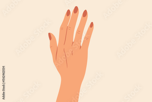 Woman's hand with an elegant red manicure vector illustration. Female hand showing long, polished nails. Concept for beauty salon, nail bar, spa, cosmetics, and skincare design.