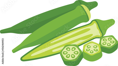 Vibrant Green Okra Illustration Featuring Fresh Whole Pods and Cross Sections Displaying Seeds, Depicting Healthy and Vegetarian Food Vector illustration