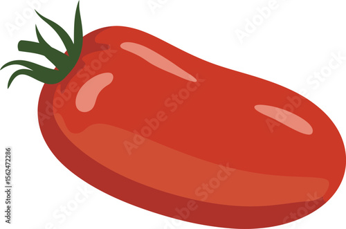 Oblong Roma Tomato with Green Stem an Ingredient for Italian Cuisine and Culinary Uses, a Delicious and Nutritious Addition Vector Illustration