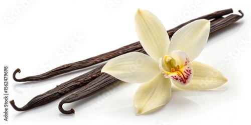 Vanilla Bean Pods with Orchid Flower, Spice, Aroma, Vanilla Orchid