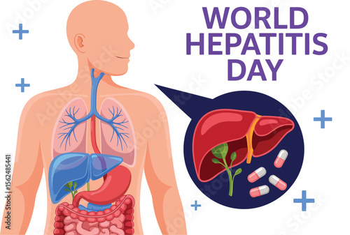 Illustration for world hepatitis day featuring human anatomy and liver with medication pills