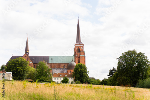 Roskilde Cathedral in a Rural Landscape with Fields