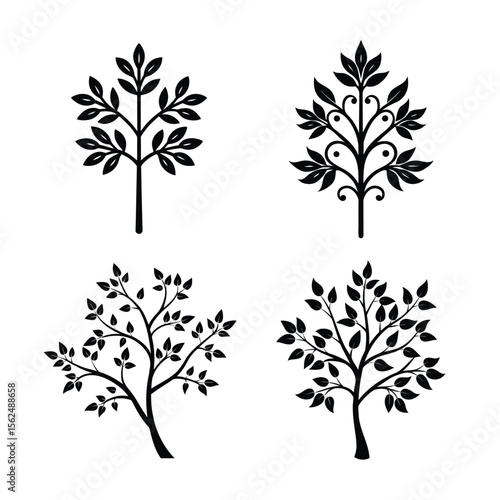 Palash flower branch and tree bundle