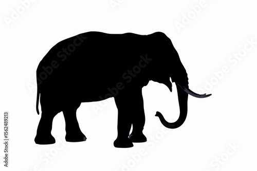 Silhouette of an elephant standing with its trunk curved downwards and tusks visible on white background created with generated ai