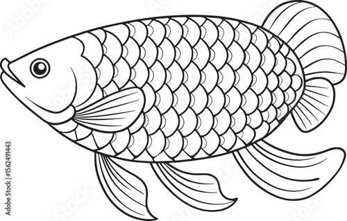 Arowana fish line illustration in outline style designed for coloring or artistic interpretation