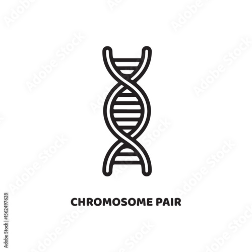 Black Line Art Chromosome Pair Icon Genetics D N A
