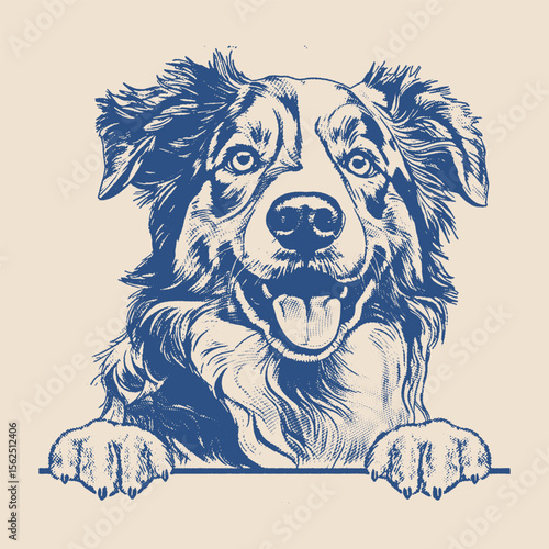 A vibrant Australian Shepherd with a joyful expression, fluffy coat, and expressive eyes, facing forward.