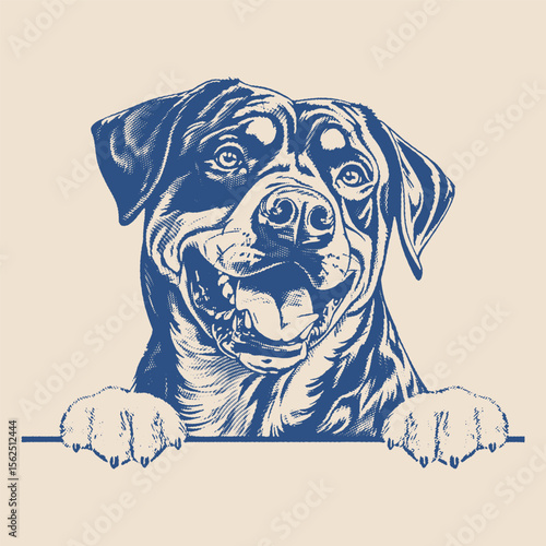Cheerful Rottweiler-style dog peeking over a ledge with a big smile and expressive eyes in vintage engraving style.