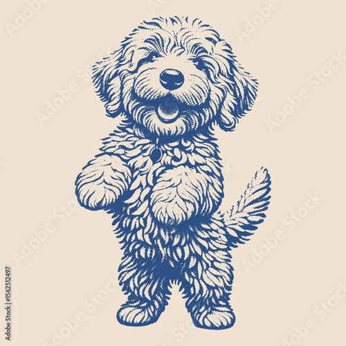 Fluffy poodle-like dog standing upright with a joyful face and curly fur, in a lively vintage illustration style.