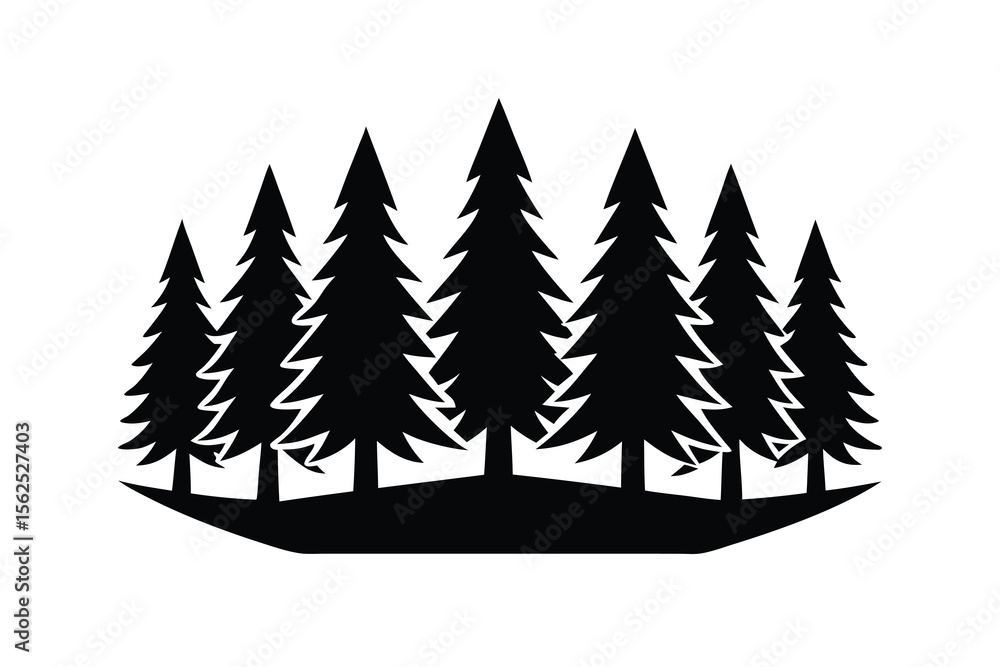 Fototapeta premium forest of pine trees silhouette