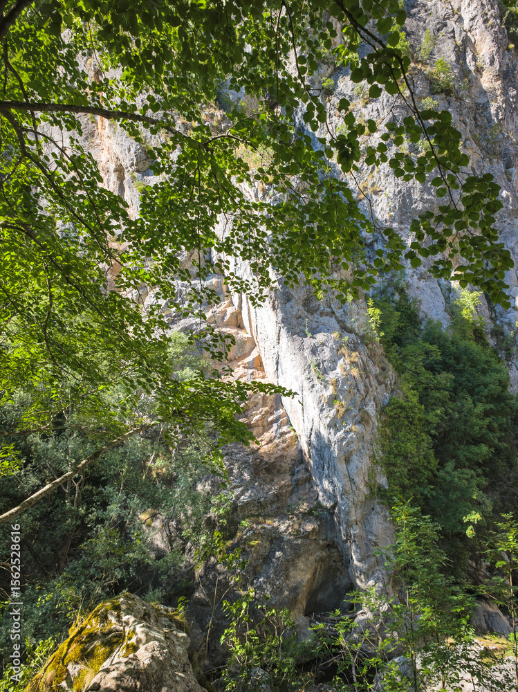 Fototapeta premium Summer view of Erma River Gorge, Bulgaria